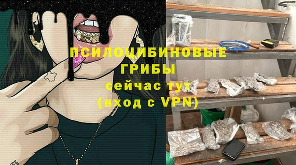 ГАЛЛЮЦИНОГЕННЫЕ ГРИБЫ Зерноград